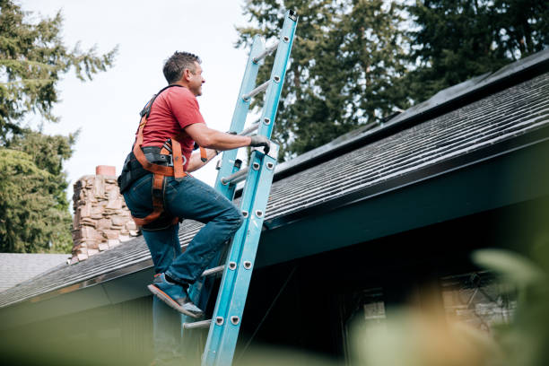 Best Roof Maintenance and Cleaning  in Big Sandy, TX